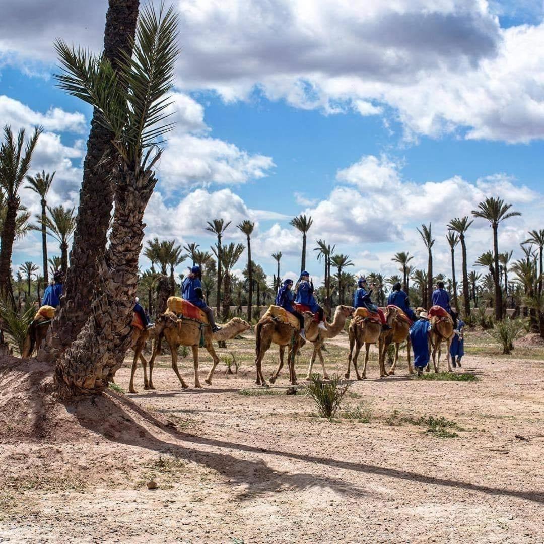 Fabuleux Appartement, Rez De Jardin Au Sein De La Palmeraie Marrakesh Ngoại thất bức ảnh